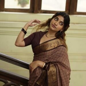 Brown-checked-saree-with-Dark-Brown-ethnic-Border