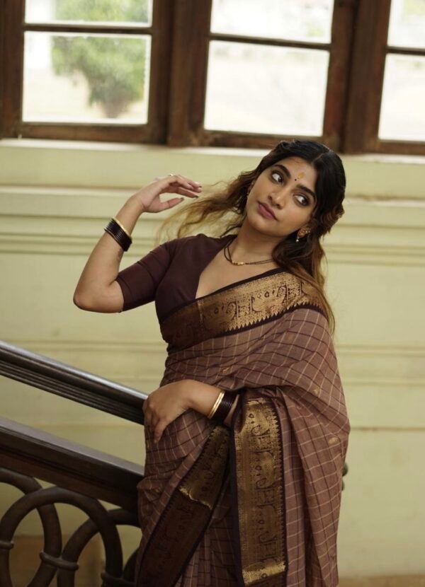 Brown-checked-saree-with-Dark-Brown-ethnic-Border