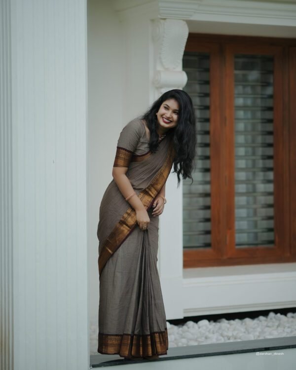 Ash Grey Saree with Brown Border