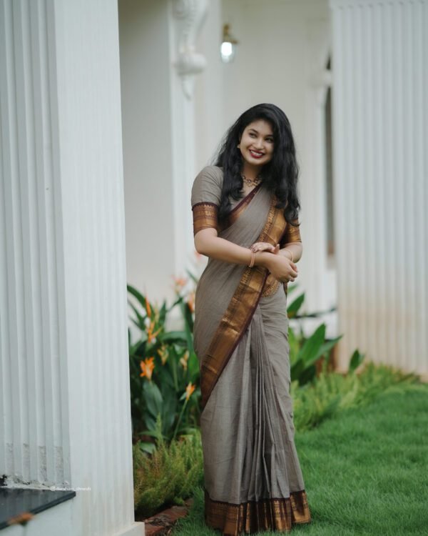 Ash Grey Saree with Brown Border