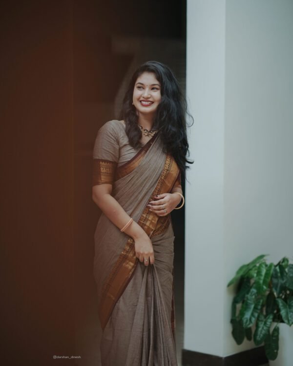 Ash Grey Saree with Brown Border