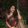 Brown Colour Saree with Red Border