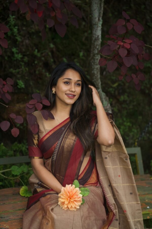 Brown Colour Saree with Red Border
