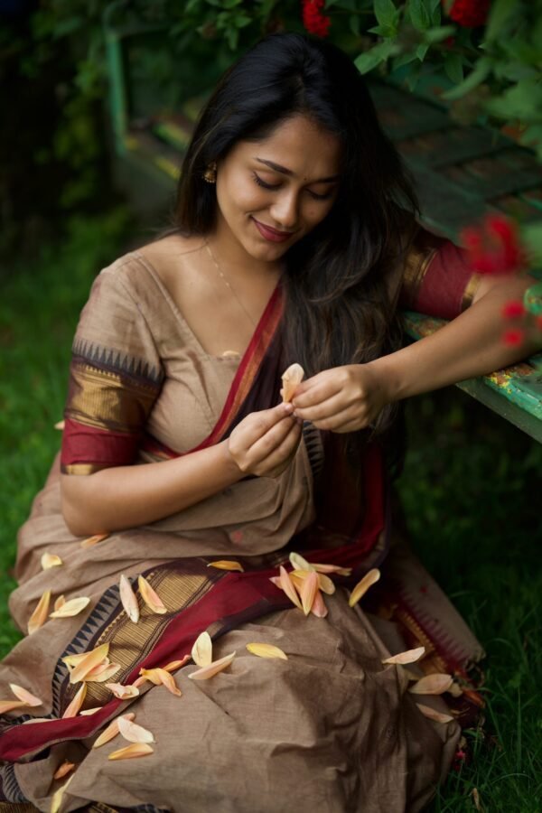 Brown Colour Saree with Red Border